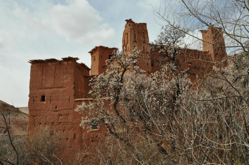 Kasbah Tigmi N'Oufella Bed and Breakfast Telouet Exterior foto